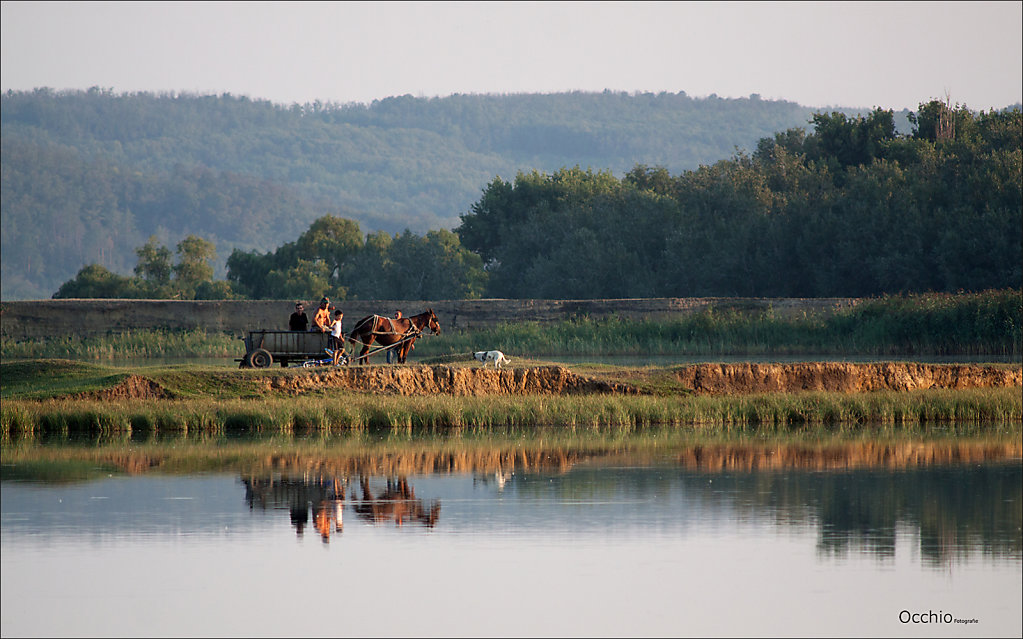 Landschaft