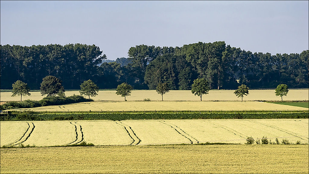 Parklandschaft Münsterland