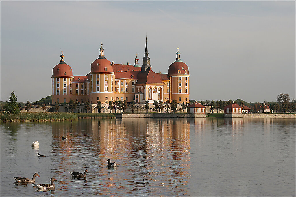 Moritzburg-IMG-8120b.jpg